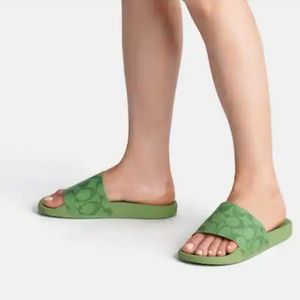 NWT Green Coach Slides